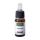 Gentian - Encijan, Bach 12, Solime, 10 ml Solime, Bach 12, Gentian - Encijan, 10 ml