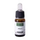 Holly - Navadna bodika, Bach 15, Solime, 10 ml Solime, Bach 15, Holly - Navadna bodika, 10 ml