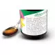 grencica-hildegarde-gastrovital Grenčica Gastrovital Hildegarde, 100 ml IZVLEČKI