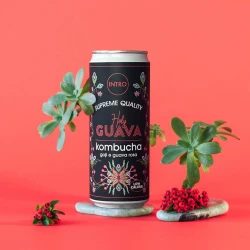 KOMBUCHA HOLY GUAVA, 330 ML KOMBUCHA HOLY GUAVA, 330 ML