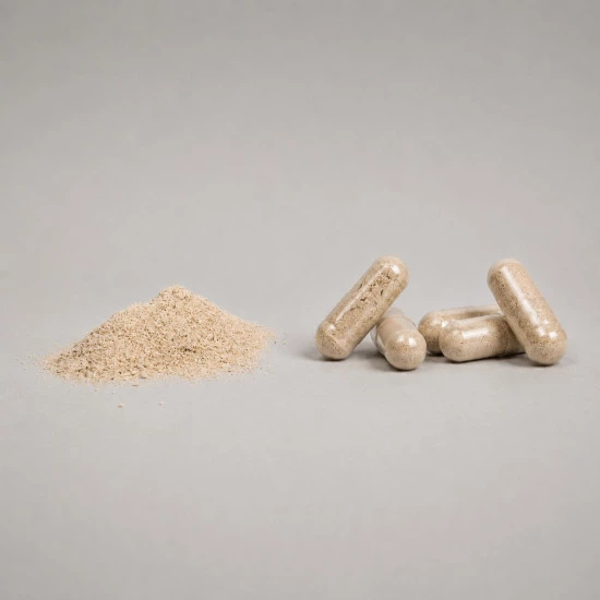Probiotik - Boulardii - Acidophilus Probiotik Lactobacillus acidophilus boulardii