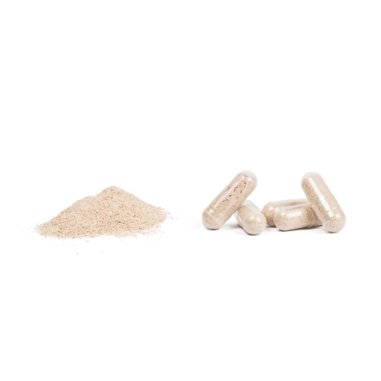 Probiotik Lactobacillus acidophilus boulardii