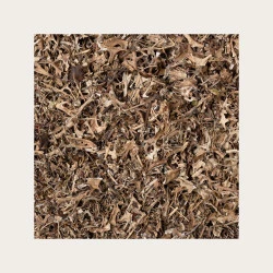ISLANDSKI LIŠAJ SOLIME, 100 G ISLANDSKI LIŠAJ SOLIME, 100 G