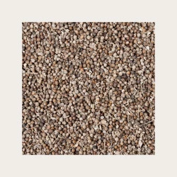 NAVADNA KONOPLJIKA, SOLIME, 100 g