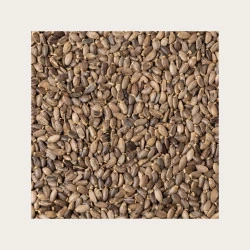 PEGASTI BADELJ - SEMENA SOLIME, 100 G