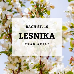 BACHOVE KAPLJICE 10, LESNIKA - CRAB APPLE, SOLIME, 10 ML BACHOVE KAPLJICE 10, LESNIKA - CRAB APPLE, SOLIME, 10 ML