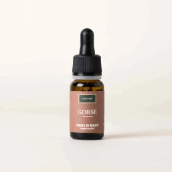 BACHOVE KAPLJICE 13, NAVADNI ULEKS - GORSE, SOLIME, 10 ML BACHOVE KAPLJICE 13, NAVADNI ULEKS - GORSE, SOLIME, 10 ML