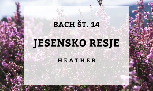 Osamljenost - Bachovi izvlečki