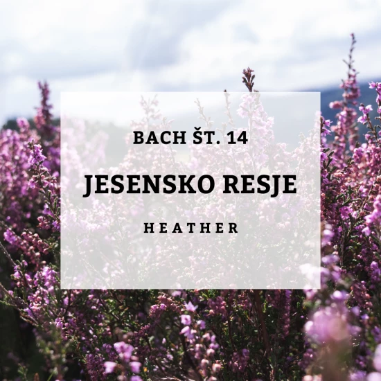 Solime, Bach 14, Heather - Jesensko resje, 10 ml