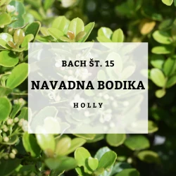 BACHOVE KAPLJICE 15, NAVADNA BODIKA - HOLLY, SOLIME, 10 ML BACHOVE KAPLJICE 15, NAVADNA BODIKA - HOLLY, SOLIME, 10 ML