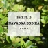 BACHOVE KAPLJICE 15, NAVADNA BODIKA - HOLLY, SOLIME, 10 ML