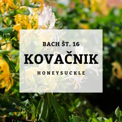 BACHOVE KAPLJICE 16, KOVAČNIK - HONEYSUCKLE, SOLIME, 10 ML BACHOVE KAPLJICE 16, KOVAČNIK - HONEYSUCKLE, SOLIME, 10 ML