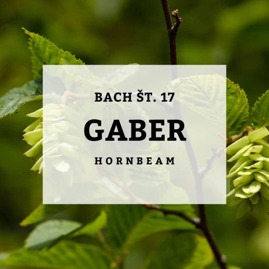 Solime, Hornbeam - Gaber, Bach 17, 10 ml