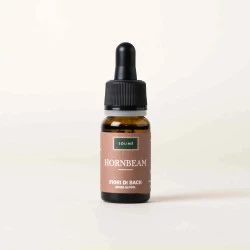 BACHOVE KAPLJICE 17, GABER - HORNBEAM, SOLIME, 10 ML BACHOVE KAPLJICE 17, GABER - HORNBEAM, SOLIME, 10 ML