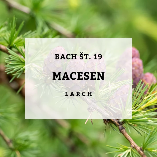 Solime, Bach 19, Larch - Macesen, 10 ml