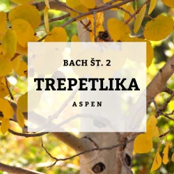 BACHOVE KAPLJICE 2, TREPETLIKA - ASPEN, SOLIME, 10 ML BACHOVE KAPLJICE 2, TREPETLIKA - ASPEN, SOLIME, 10 ML