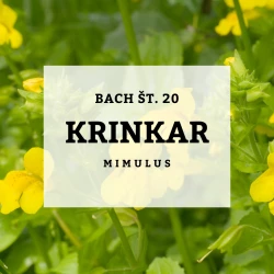 BACHOVE KAPLJICE 20, KRINKAR - MIMULUS, SOLIME, 10 ML BACHOVE KAPLJICE 20, KRINKAR - MIMULUS, SOLIME, 10 ML