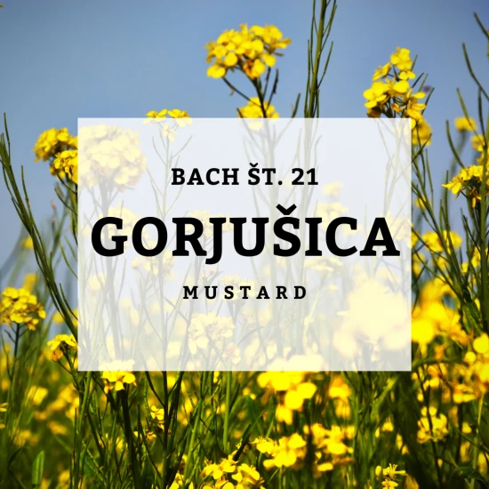 Solime, Bach 21, Mustard - Gorjušica, 10 ml