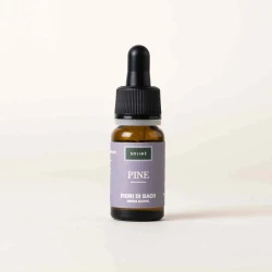 BACHOVE KAPLJICE 24, BOR - PINE, SOLIME, 10 ML