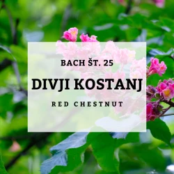 BACHOVE KAPLJICE 25, RDEČECVETNI DIVJI KOSTANJ - RED CHESTNUT, SOLIME, 10 ML BACHOVE KAPLJICE 25, RDEČECVETNI DIVJI KOSTANJ - RED CHESTNUT, SOLIME, 10 ML