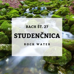 BACHOVE KAPLJICE 27, STUDENČNICA - ROCK WATER, SOLIME, 10 ML