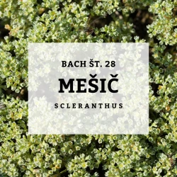 BACHOVE KAPLJICE 28, MEŠIČ - SCLERANTHUS, SOLIME, 10 ML