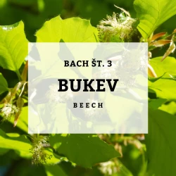 BACHOVE KAPLJICE 3, BUKEV - BEECH, SOLIME, 10 ML BACHOVE KAPLJICE 3, BUKEV - BEECH, SOLIME, 10 ML