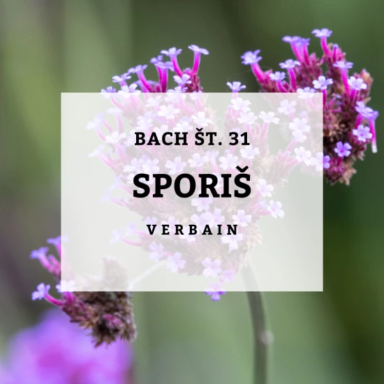 Solime, Bach 31, Vervain - Sporiš, 10 ml
