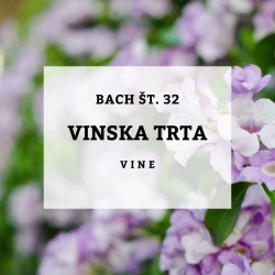 BACHOVE KAPLJICE 32, VINSKA TRTA - VINE, SOLIME, 10 ML BACHOVE KAPLJICE 32, VINSKA TRTA - VINE, SOLIME, 10 ML