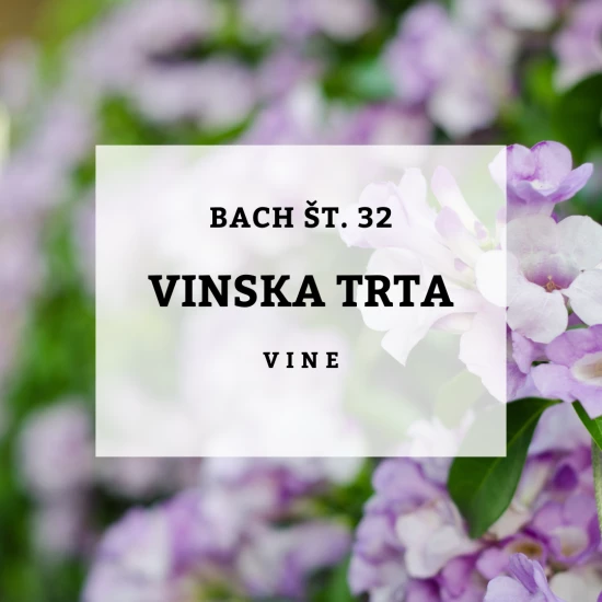 Solime, Bach 32, Vine - Vinska trta, 10 ml