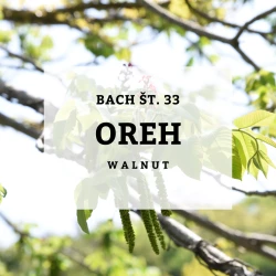 BACHOVE KAPLJICE  33, OREH - WALNUT, SOLIME, 10 ML BACHOVE KAPLJICE  33, OREH - WALNUT, SOLIME, 10 ML