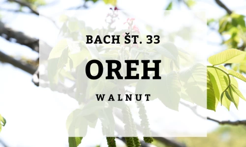 Preobčutljivost - Bachovi izvlečki