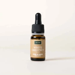 BACHOVE KAPLJICE 35, DIVJI KOSTANJ - WHITE CHESTNUT, SOLIME, 10 ML BACHOVE KAPLJICE 35, DIVJI KOSTANJ - WHITE CHESTNUT, SOLIME, 10 ML