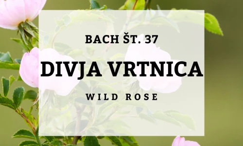 Otopelost - Bachovi izvlečki Otopelost - Bachovi izvlečki