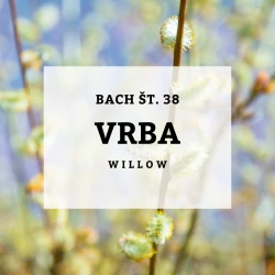 BACHOVE KAPLJICE  38, VRBA - WILLOW, SOLIME, 10 ML BACHOVE KAPLJICE  38, VRBA - WILLOW, SOLIME, 10 ML