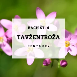 BACHOVE KAPLJICE 4, TAVŽENTROŽA - CENTAURY, SOLIME, 10 ML BACHOVE KAPLJICE 4, TAVŽENTROŽA - CENTAURY, SOLIME, 10 ML