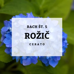 BACHOVE KAPLJICE 5, ROŽIČ - CERATO, SOLIME, 10 ML BACHOVE KAPLJICE 5, ROŽIČ - CERATO, SOLIME, 10 ML