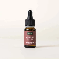 BACHOVE KAPLJICE 6, ČEŠNJELIKA SLIVA - CHERRY PLUM, SOLIME, 10 ML BACHOVE KAPLJICE 6, ČEŠNJELIKA SLIVA - CHERRY PLUM, SOLIME, 10 ML
