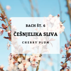 BACHOVE KAPLJICE 6, ČEŠNJELIKA SLIVA - CHERRY PLUM, SOLIME, 10 ML BACHOVE KAPLJICE 6, ČEŠNJELIKA SLIVA - CHERRY PLUM, SOLIME, 10 ML