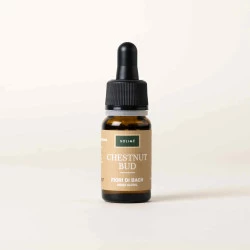 BACHOVE KAPLJICE 7, CVETNI POPEK DIVJEGA KOSTANJA - CHESTNUT BUD, SOLIME, 10 ML BACHOVE KAPLJICE 7, CVETNI POPEK DIVJEGA KOSTANJA - CHESTNUT BUD, SOLIME, 10 ML