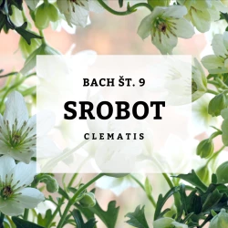 BACHOVE KAPLJICE 9, SROBOT - CLEMATIS, 10 ML BACHOVE KAPLJICE 9, SROBOT - CLEMATIS, 10 ML