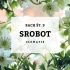 BACHOVE KAPLJICE 9, SROBOT - CLEMATIS, 10 ML