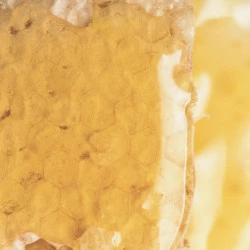 GELEVITAL CLASSIC SOLIME, 200 ML GELEVITAL CLASSIC SOLIME, 200 ML