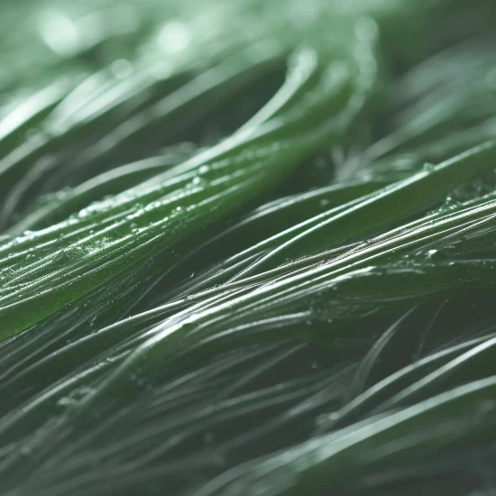 Spirulina-modrozelena-alga Modrozelena alga v kapsulah
