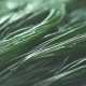 Spirulina-modrozelena-alga Modrozelena alga v kapsulah