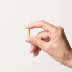 ECHINACEA IMMUNO SOLIME, 60 KAPSUL ECHINACEA IMMUNO SOLIME, 60 KAPSUL