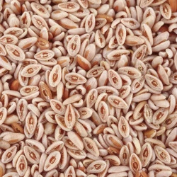 GASTRO TABLETE SOLIME, 60 TABLET GASTRO TABLETE SOLIME, 60 TABLET