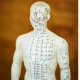 Akupunkturni model z meridiani