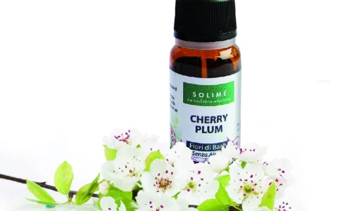 Strah - Bachovi izvlečki