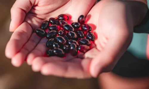 Astaksantin – koristi, delovanje in zakaj ga telo potrebuje Astaksantin – koristi, delovanje in zakaj ga telo potrebuje